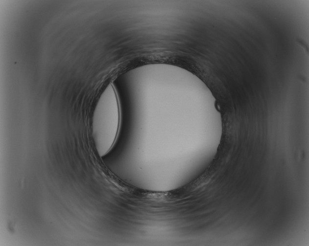 X0000102040089200807181040