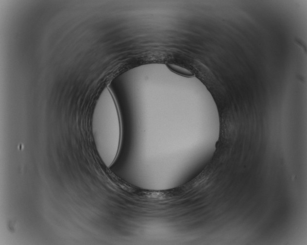 X0000102040091200807181040