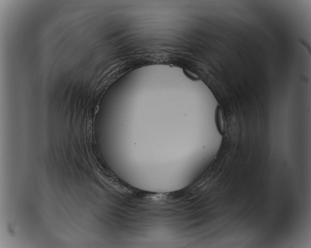 X0000102040092200807181040