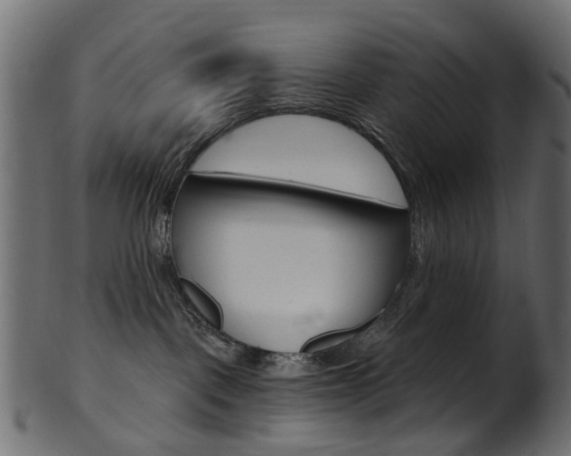 X0000102040093200807181040