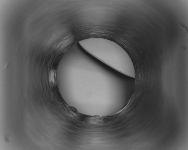 X0000102040094200807181040