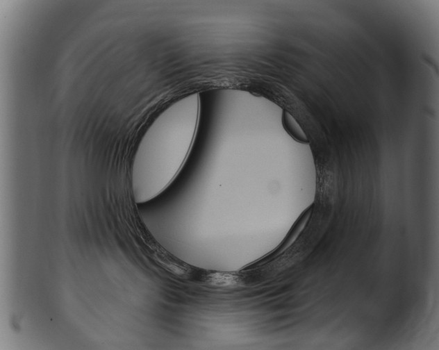 X0000102040095200807181040