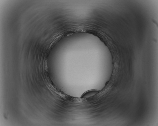 X0000102040096200807181040