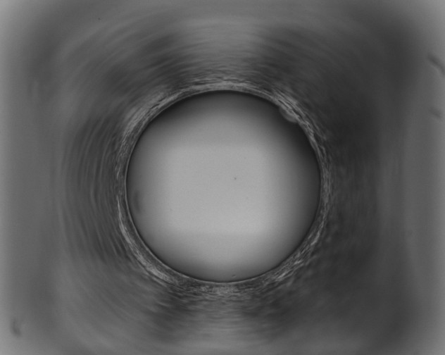 X0000102040097200807181039