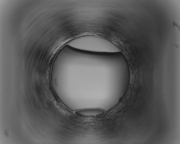 X0000102040098200807181039