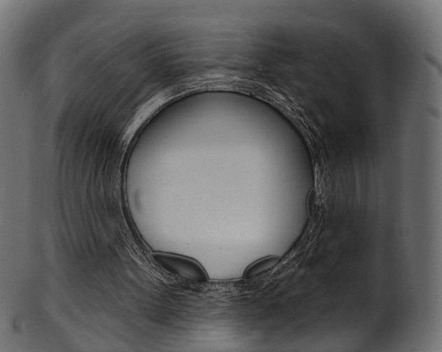 X0000102040099200807181039
