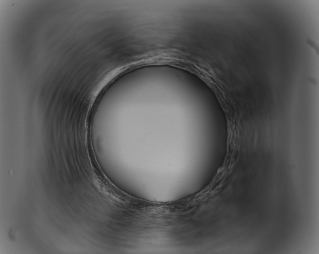 X0000102040100200807181039
