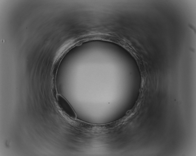 X0000102040101200807181039
