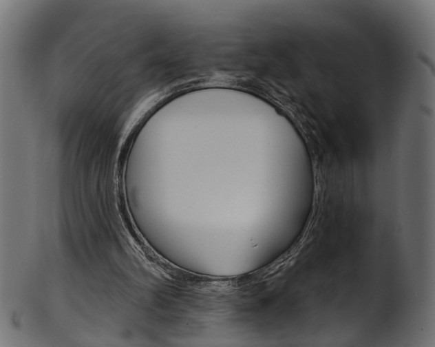 X0000102040102200807181039