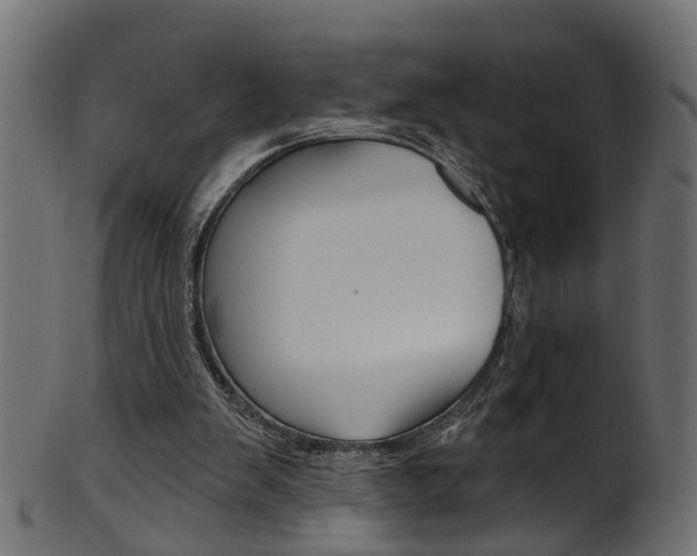 X0000102040103200807181039
