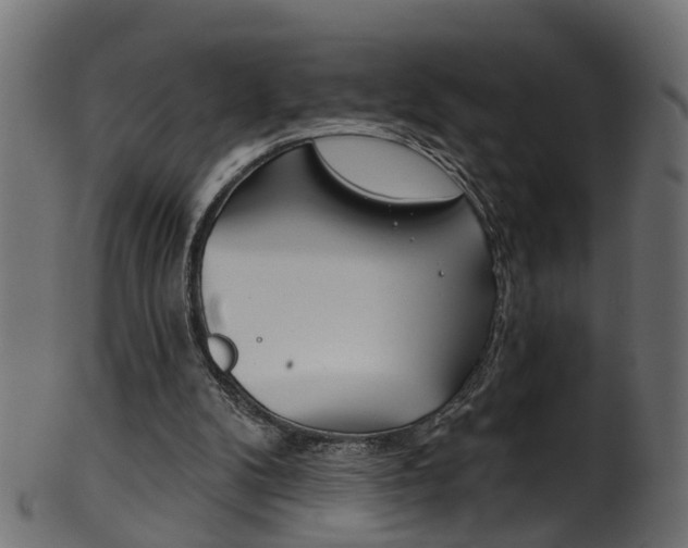 X0000102040104200807181039