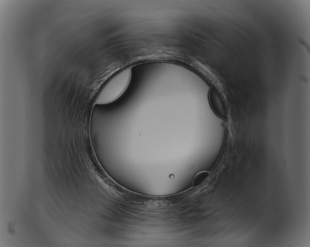 X0000102040105200807181039