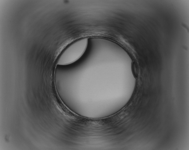 X0000102040107200807181039