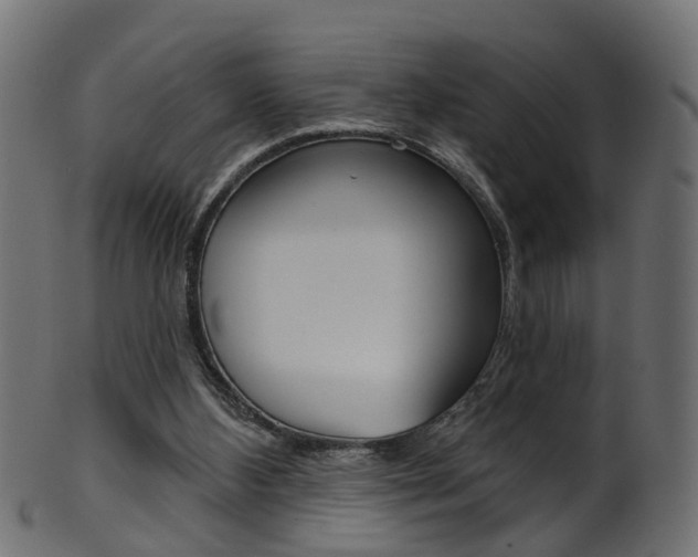 X0000102040108200807181039