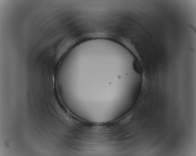 X0000102040109200807181039