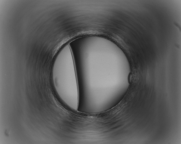 X0000102040111200807181039