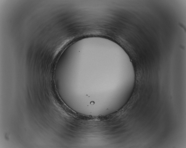 X0000102040112200807181039