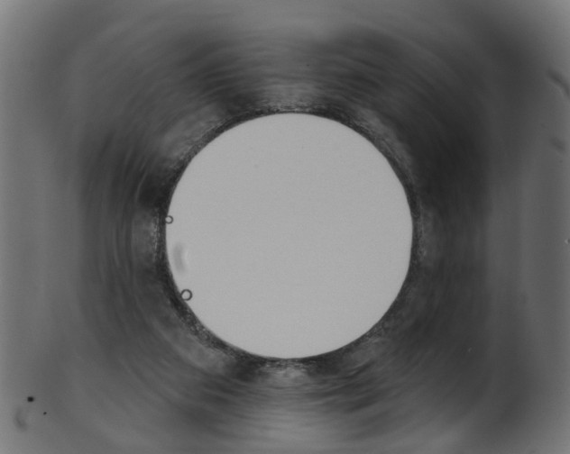 X0000102040113200807181039