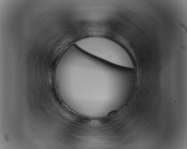 X0000102040114200807181039