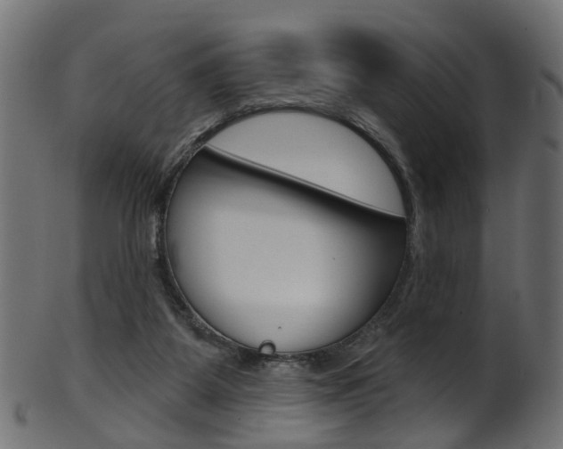 X0000102040115200807181039