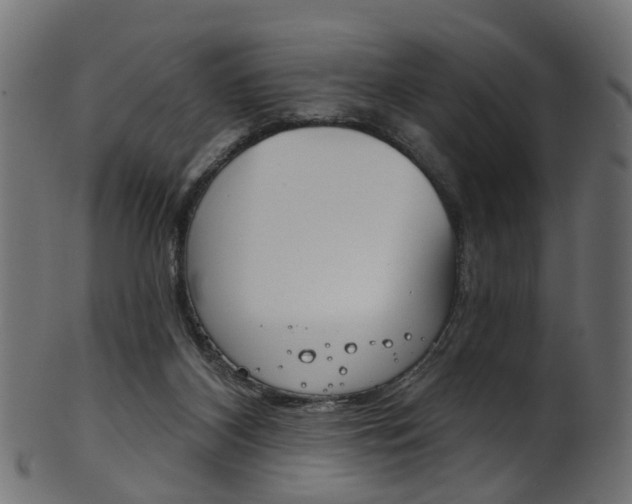 X0000102040116200807181039