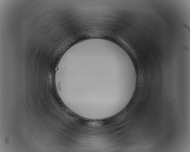 X0000102040117200807181039