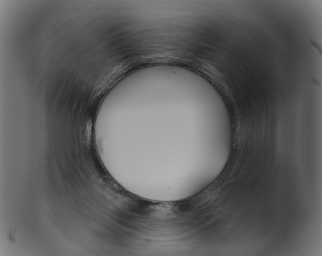 X0000102040118200807181039