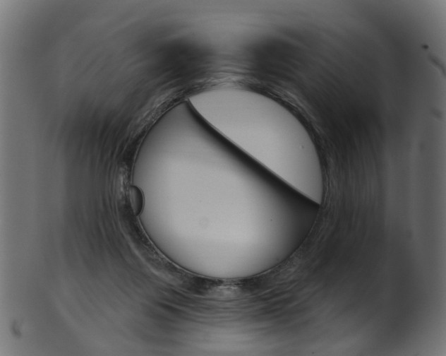X0000102040119200807181039