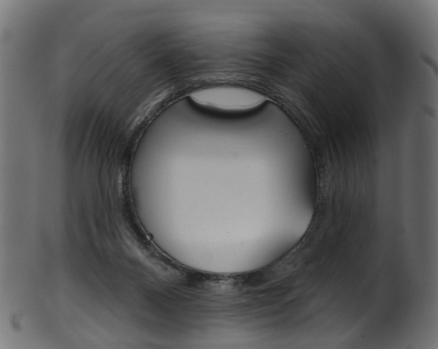 X0000102040120200807181039