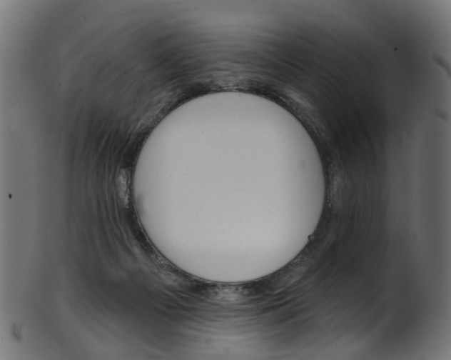 X0000102040121200807181039