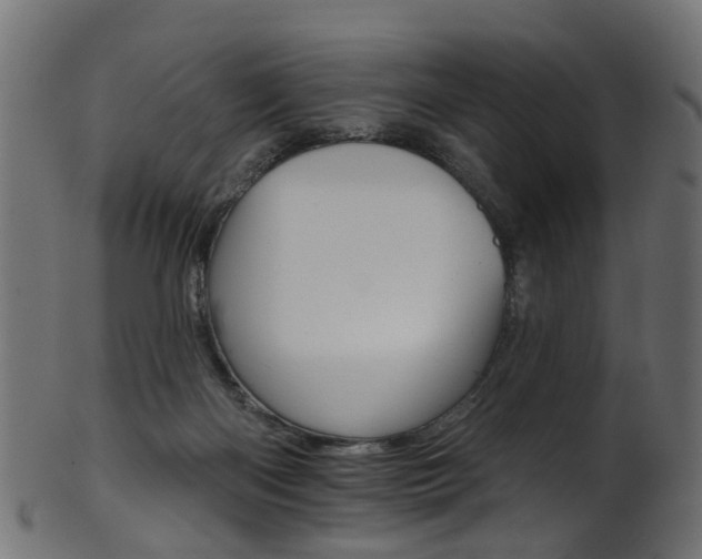 X0000102040122200807181039