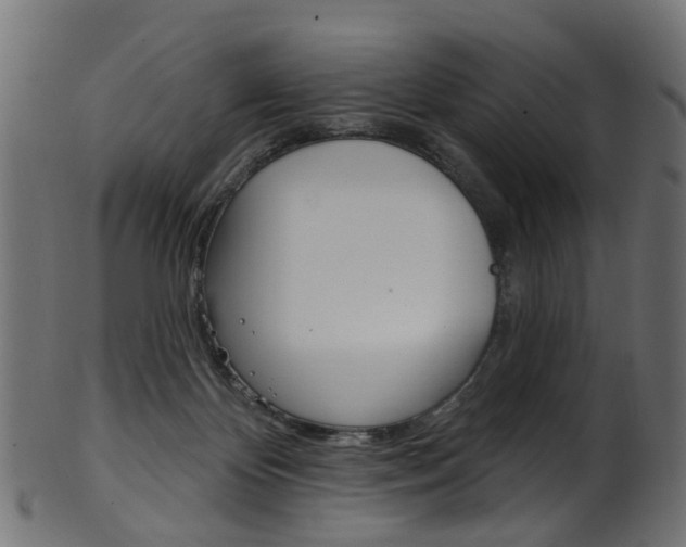 X0000102040124200807181039