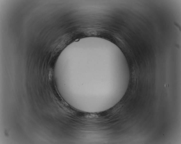 X0000102040125200807181039