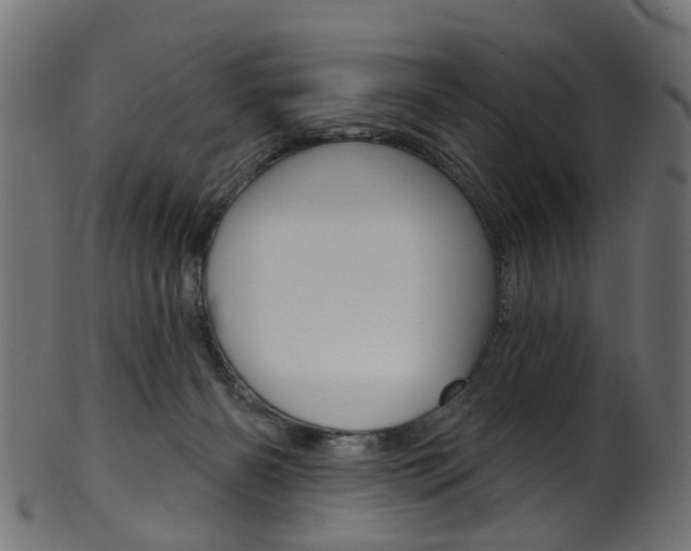 X0000102040126200807181039
