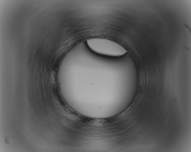 X0000102040128200807181039