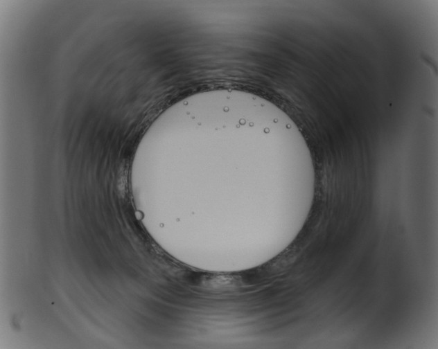 X0000102040129200807181039