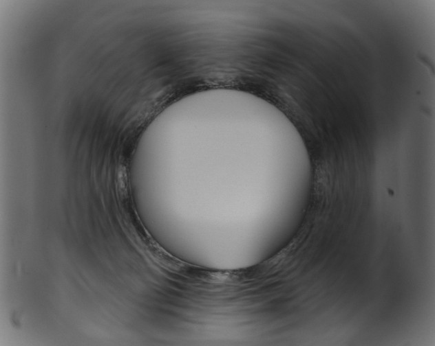 X0000102040130200807181039