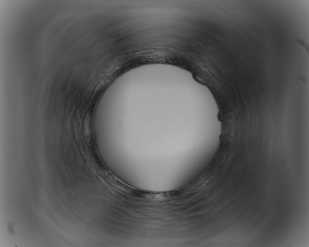 X0000102040131200807181039