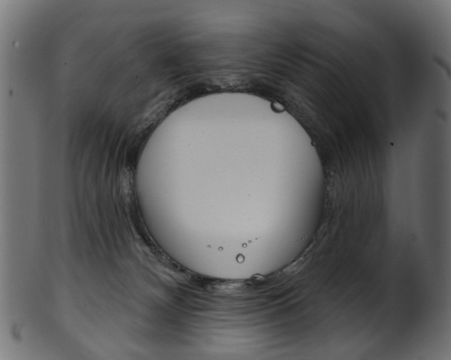 X0000102040132200807181039