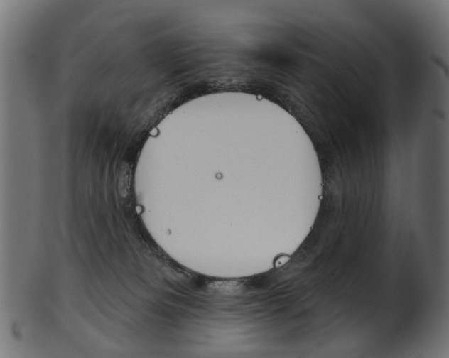 X0000102040133200807181039