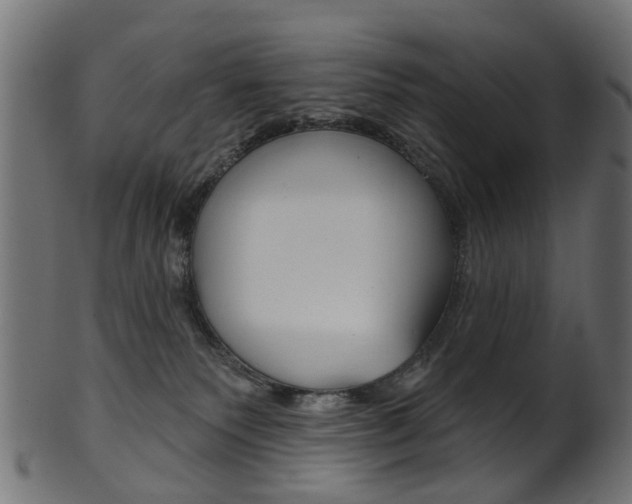 X0000102040135200807181039