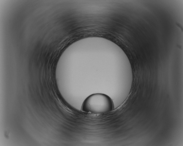 X0000102040136200807181039