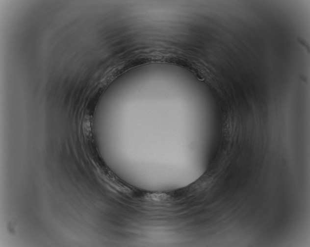 X0000102040137200807181039