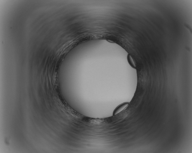 X0000102040139200807181039