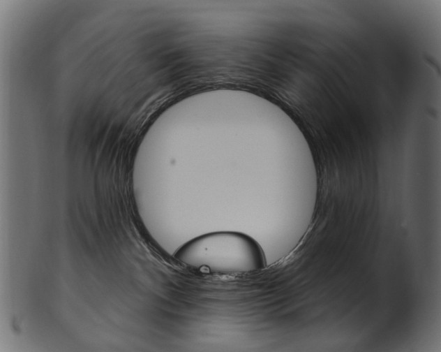 X0000102040140200807181039