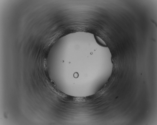 X0000102040141200807181039