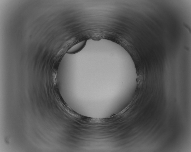 X0000102040142200807181039