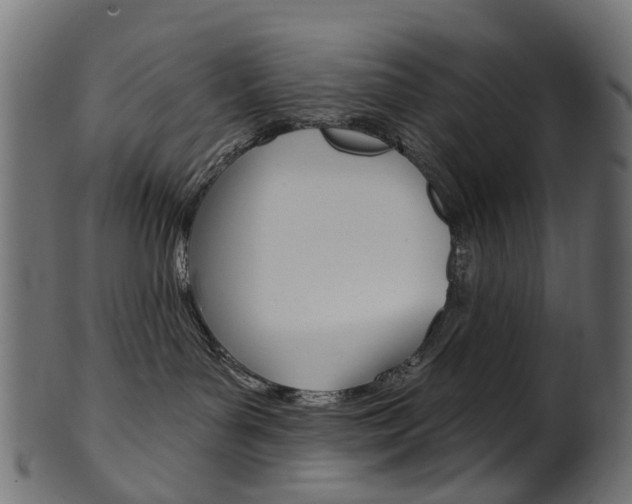 X0000102040143200807181039