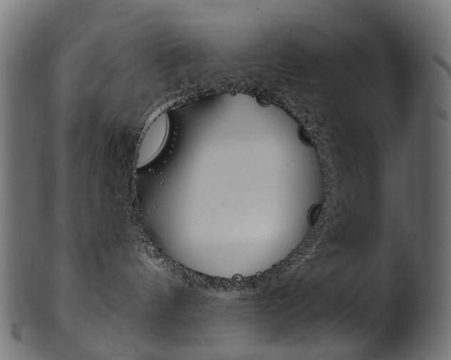X0000102040144200807181039