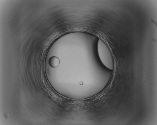 X0000102040145200807181038